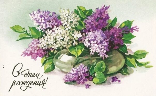 Картинка с днем рождения женщине сирень Поздравляем с днем рождения ветерана педагогического труда Подуздикову Валентину
