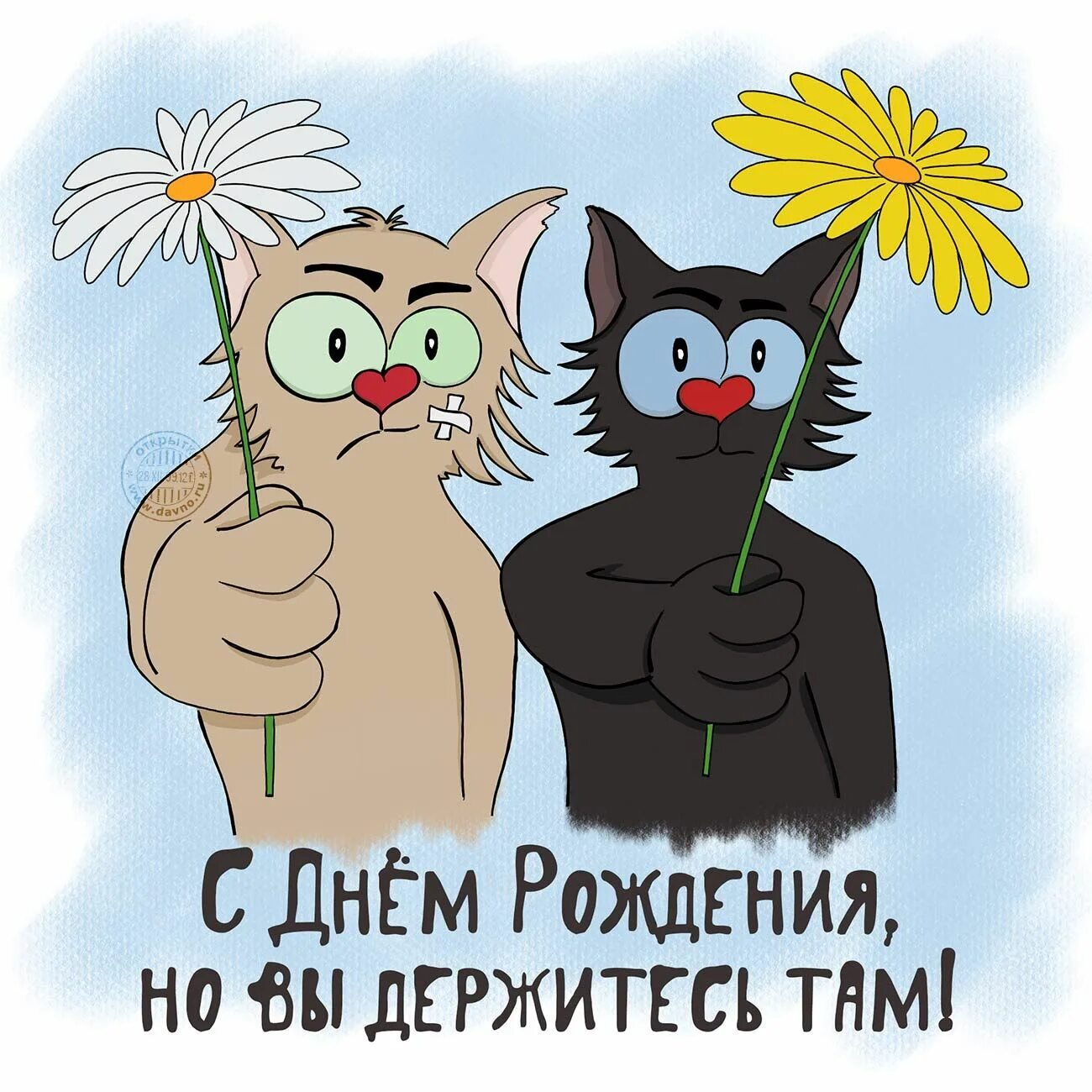 Картинка с днем рождения женщине юморное Милые открытки, Поздравительные открытки, С днем рождения