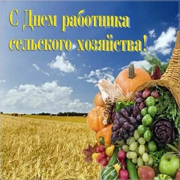 Картинка с днем сельского работника Красивая открытка на день работника сельского хозяйства Открытки, Сельское хозяй