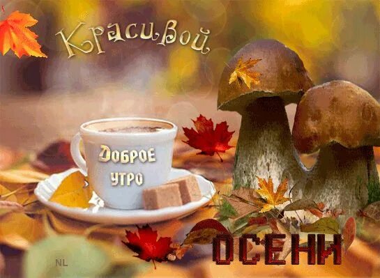 Картинка с добрым осенним утром прикольная анимация Осеннее утречко Herbst bilder, Herbstbilder, Herbst