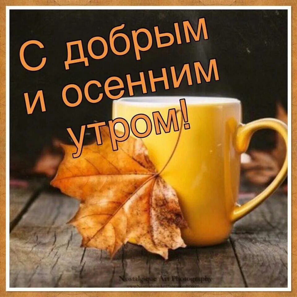 Картинка с добрым утром осенняя новинка Доброе утро, кроссоводы! Родителям школьников - терпения! Супругам педагогов - т