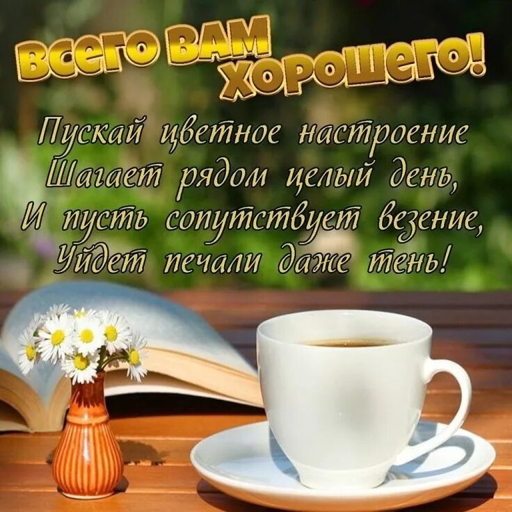 Картинка с добрыми пожеланиями мужчине Ромашка белая ВКонтакте Glassware, Tableware, Mugs