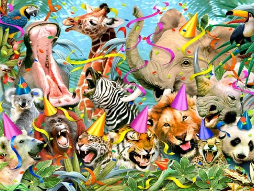 Картинка там всякими животными Jungle Animals Eight wallpapers Animal party, Wild animals photos, Jungle animal