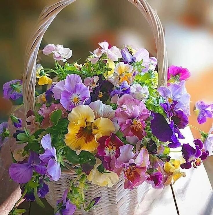 Картинка цветы красивые позитивные Pin on Other Basket flower arrangements, Beautiful flowers, Beautiful flower arr