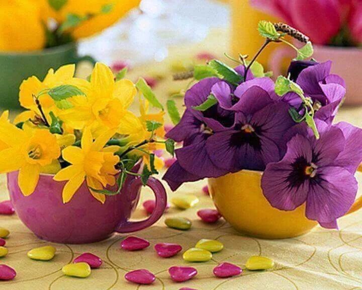 Картинка цветы красивые позитивные Pin on флора Flowers, Flower vases, Planter pots indoor