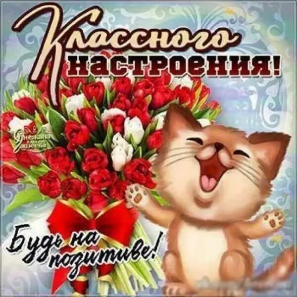 Картинка ватсап хорошего дня Картинки с пожеланиями доброго утра, хорошего дня и настроения Buenos dias