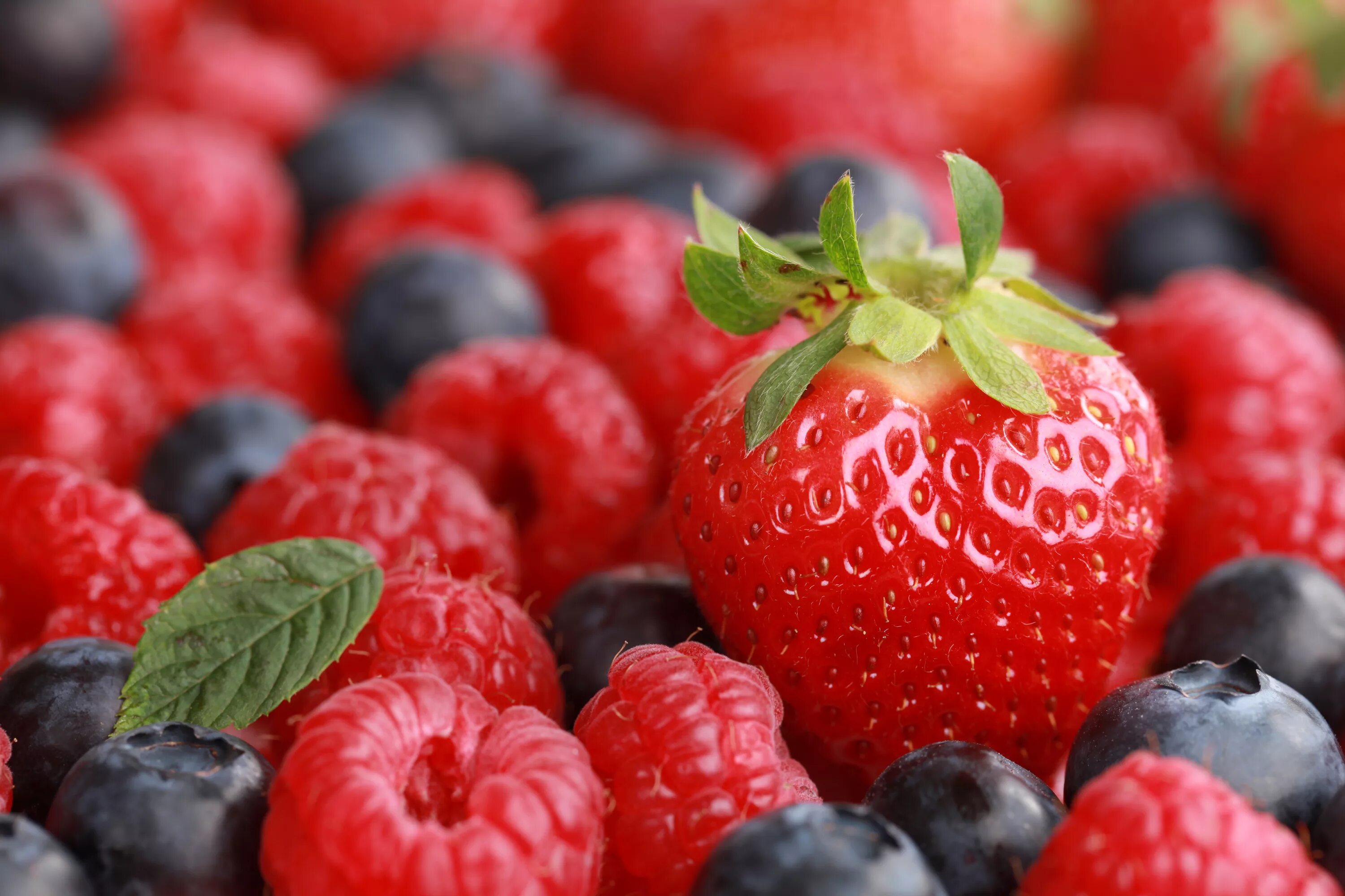 Картинка ягода фото HD desktop wallpaper: Food, Strawberry, Blueberry, Raspberry, Berry, Fruit downl