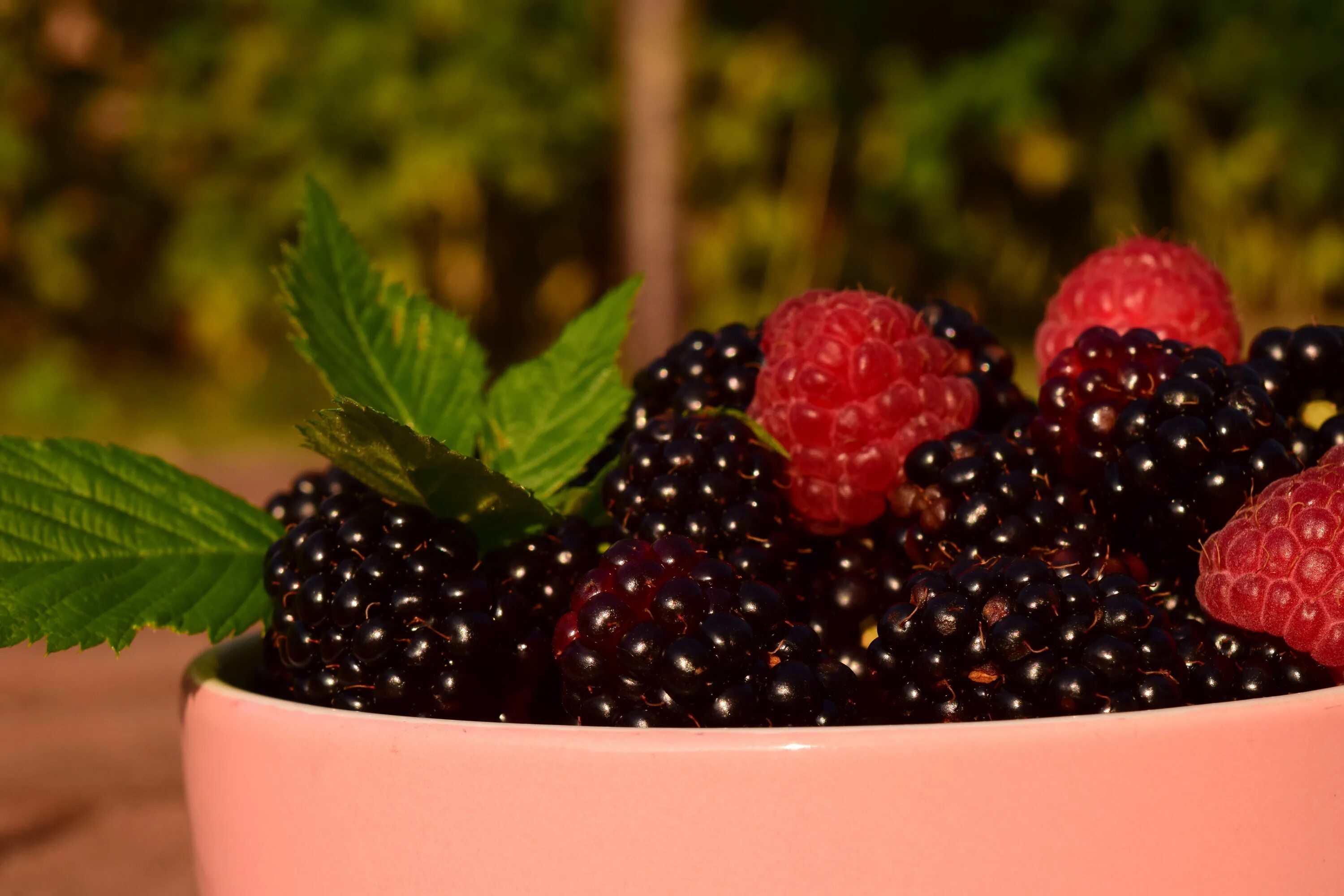 Картинка ягода фото Free Images : plant, raspberry, fruit, berry, food, harvest, produce, dessert, s