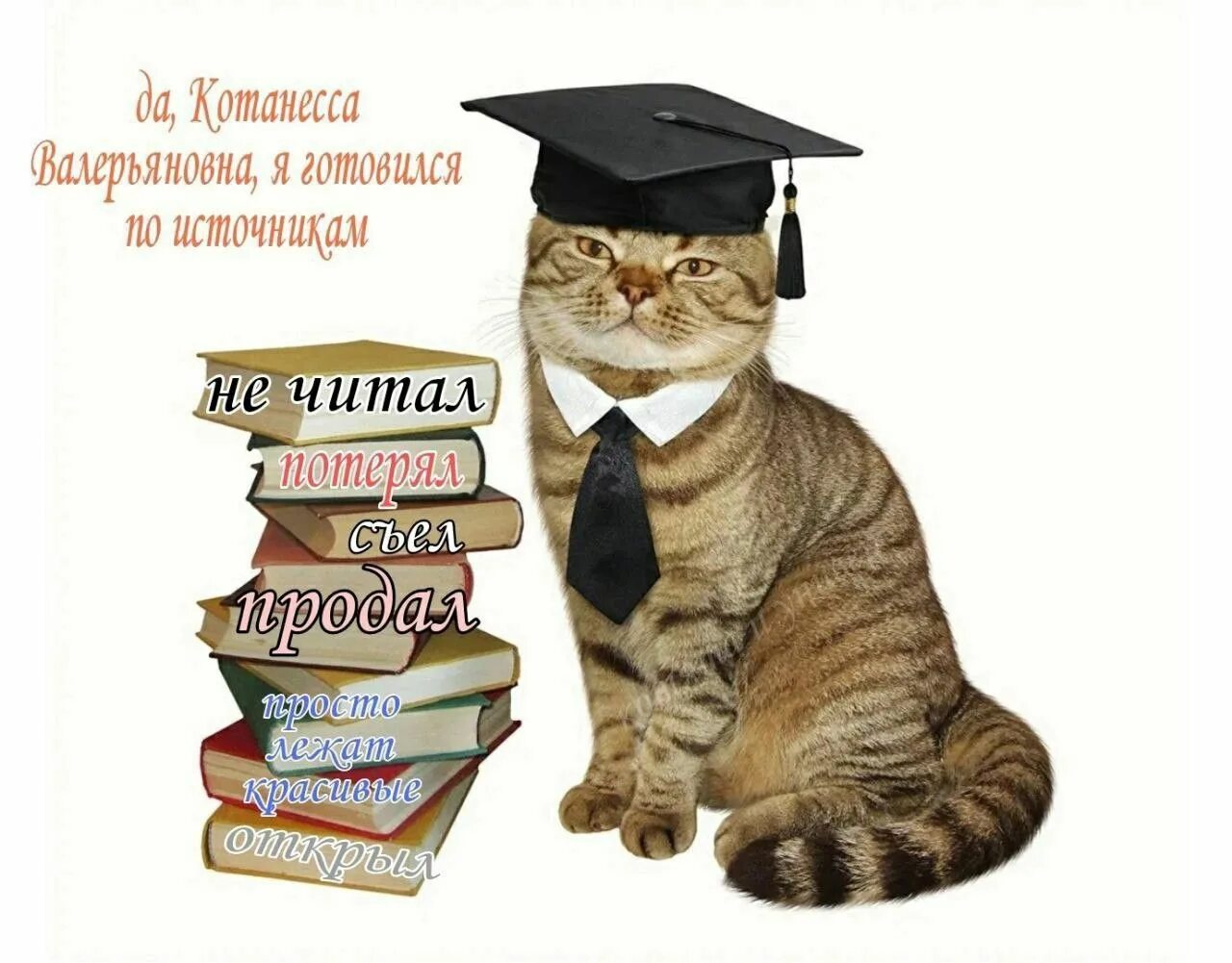 Картинка животное учится Пин от пользователя Anitkakarapetanka на доске memes Мемы, Котята, Кошачий арт
