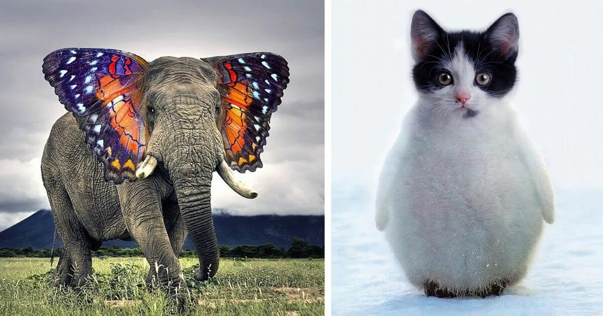 Картинка животных организмов 49 Strange Animal Hybrids Bred In Photoshop Weird animals, Photoshopped animals,