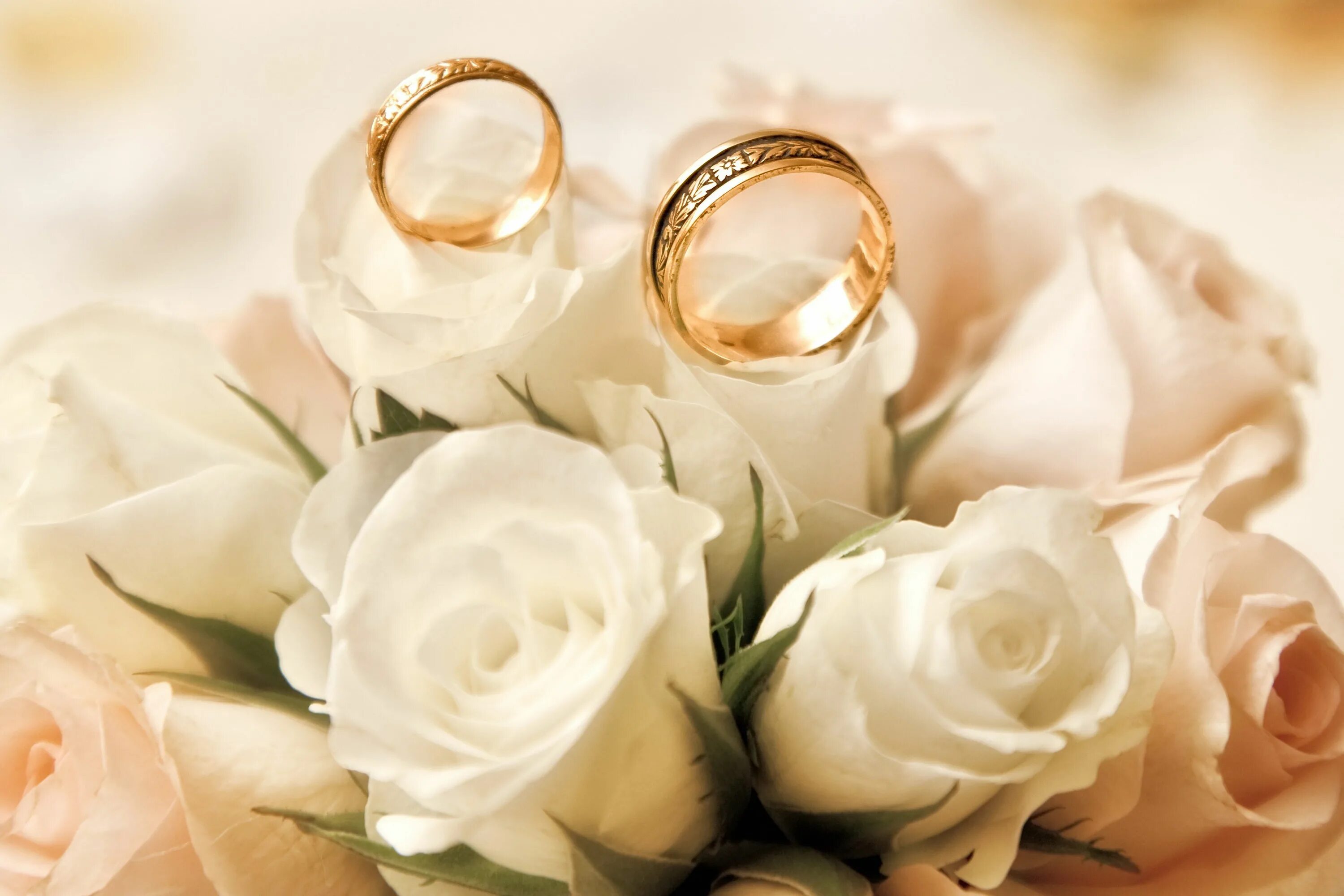 Картинки 27 свадьбы Rosen Sträuße Weiß Ring Hochzeit Blumen Gold wedding, Wedding, Wedding flowers