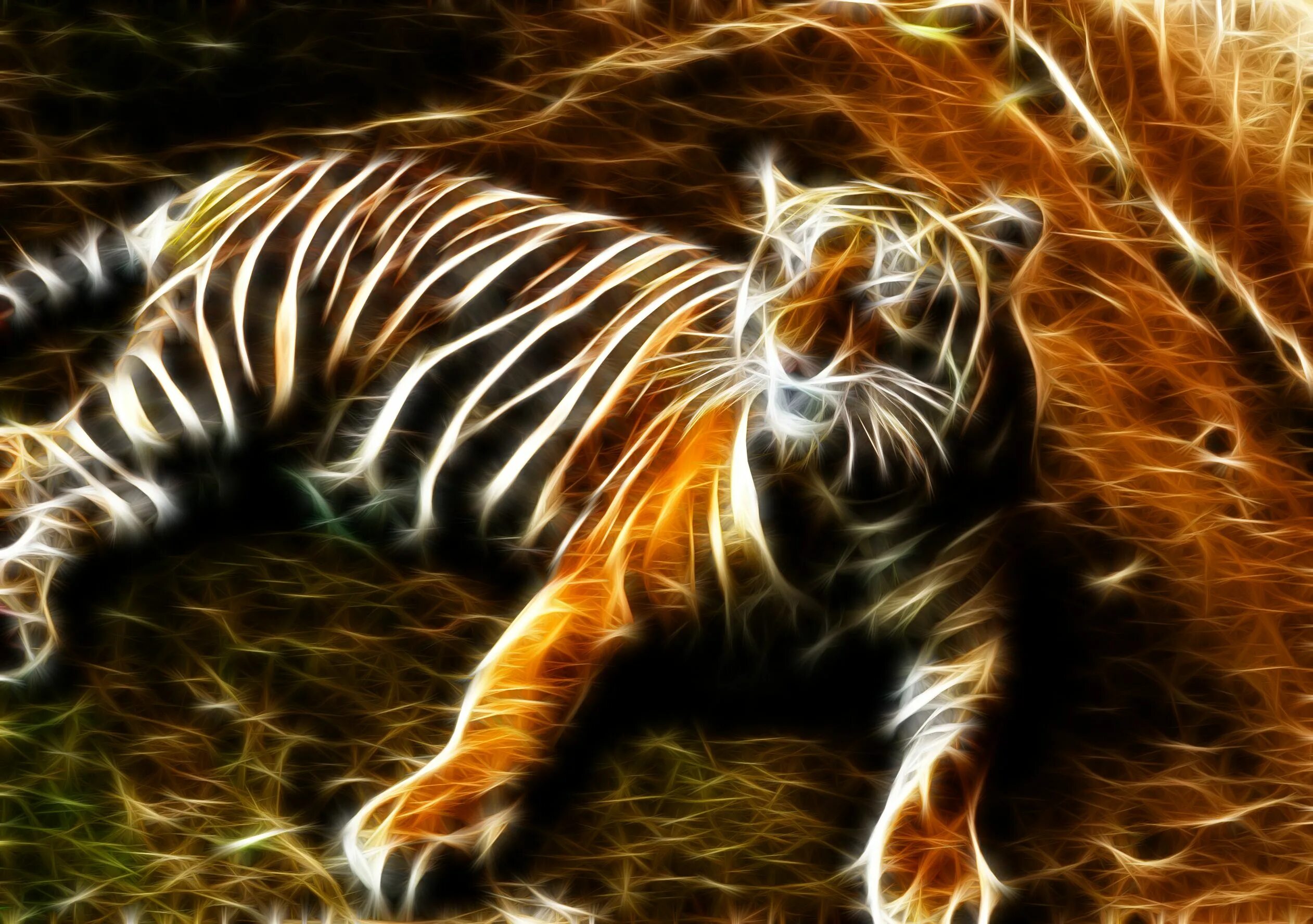 Картинки 3д животные HD desktop wallpaper: Cats, Tiger, Animal download free picture #290036