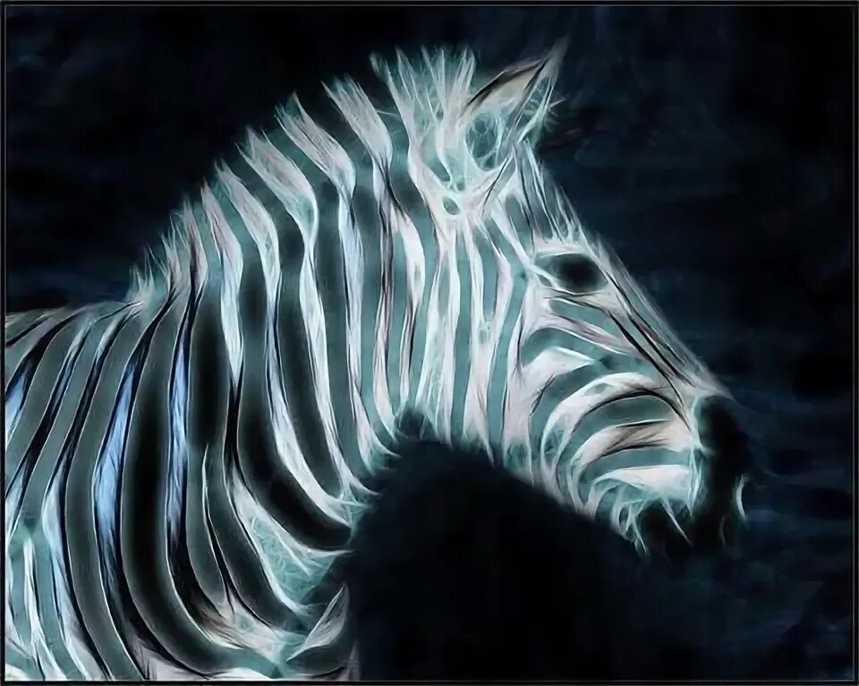 Картинки 3д животные Zebra - DIY Diamonds Painting Zebra wallpaper, Animal wallpaper, Zebras