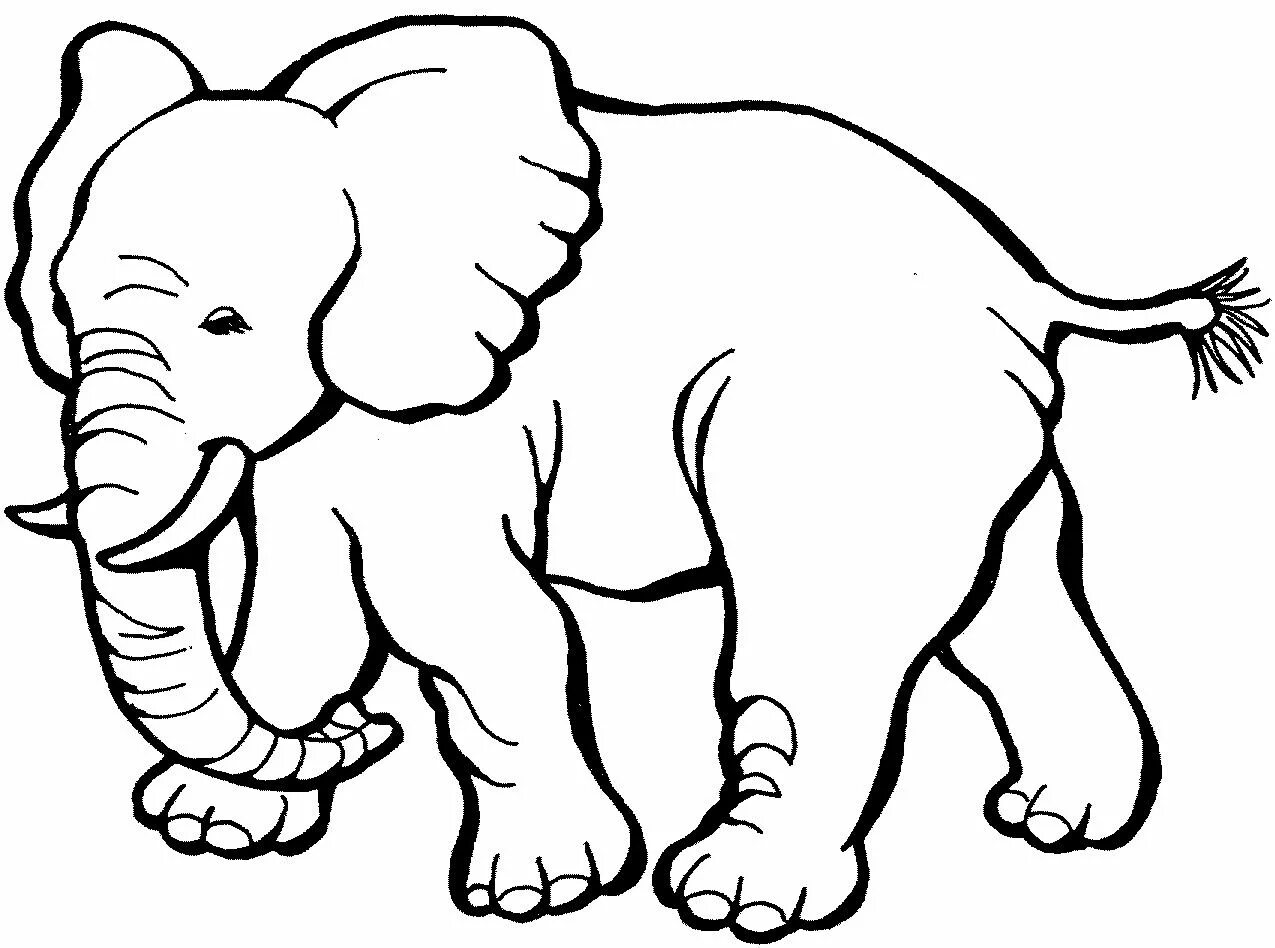 Картинки а4 животные Pin by wendy v on Roar VBS 2019 Zoo animal coloring pages, Zoo coloring pages, E