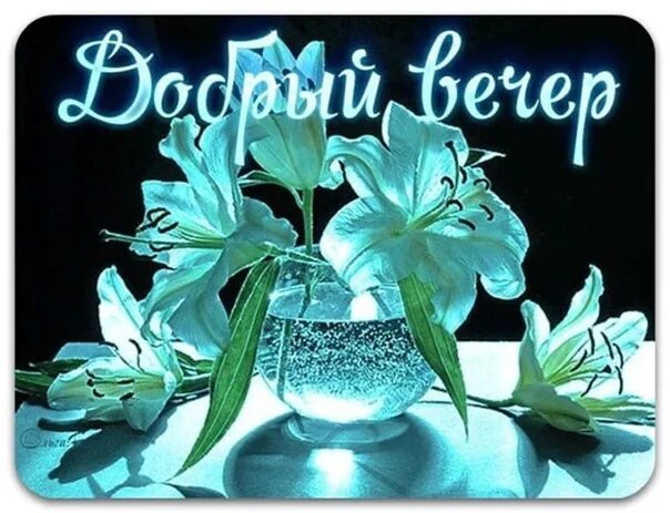 Картинки без надписи добрый вечер Good evening! ЦВЕТЫ БЕЗ ПОВОДА ВКонтакте