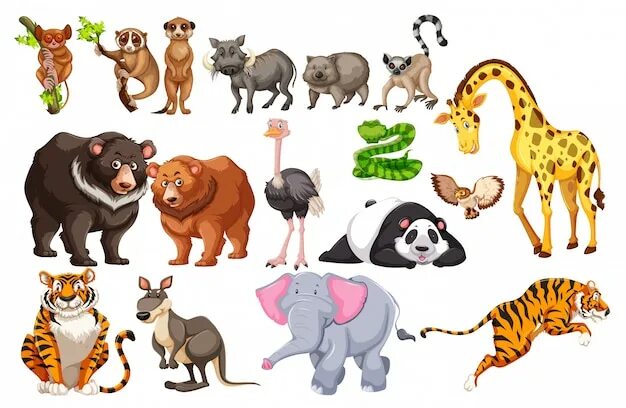 Картинки без животных Premium Vector Many type of animals with wooden signs