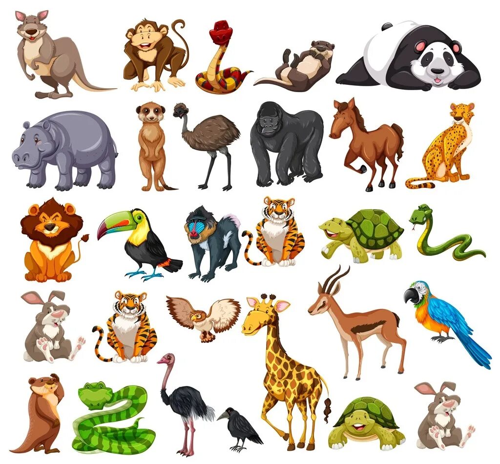 Картинки без животных Wild animals - English/Polish Diagram Quizlet