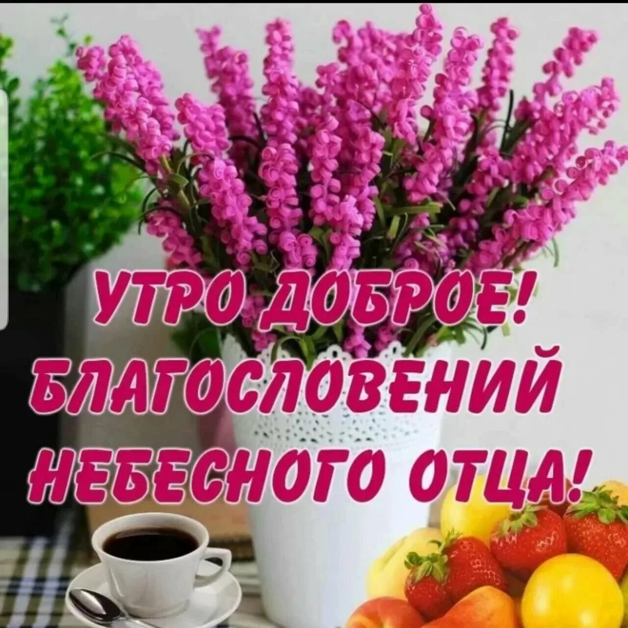 Картинки благословенного дня и хорошего настроения Благословенного дня! 80 картинок