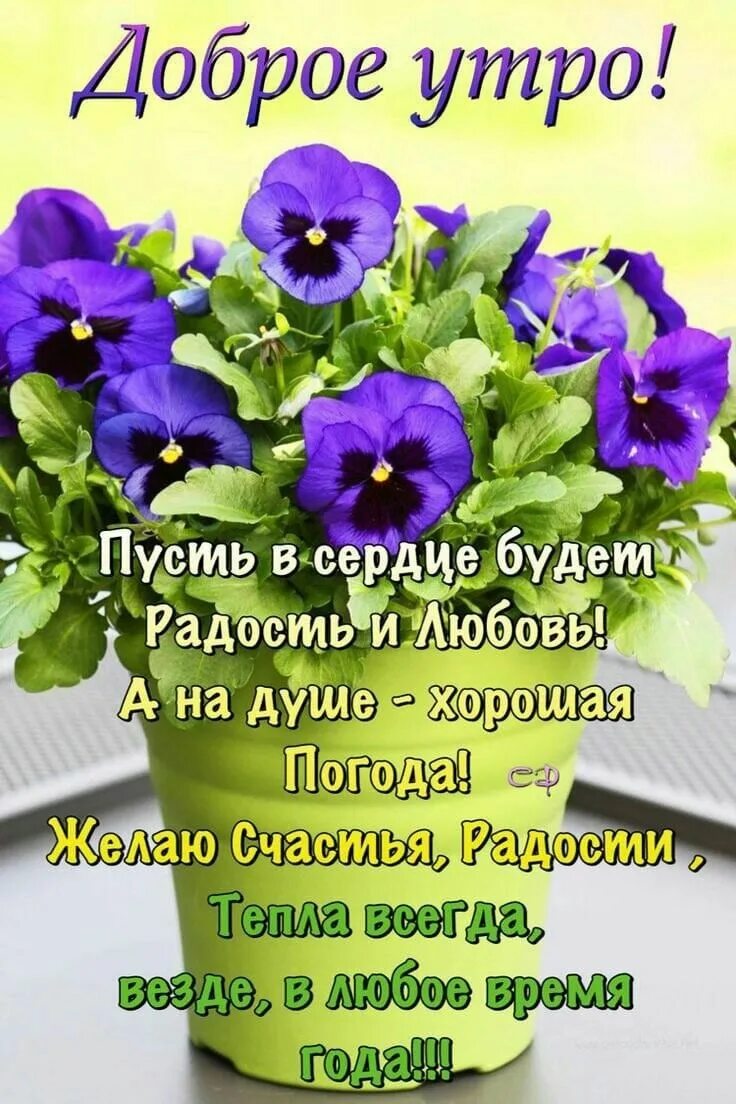 Картинки благословенного дня и хорошего настроения Пин на доске Поздравления Доброе утро, Утренние цитаты, Фотография цитаты