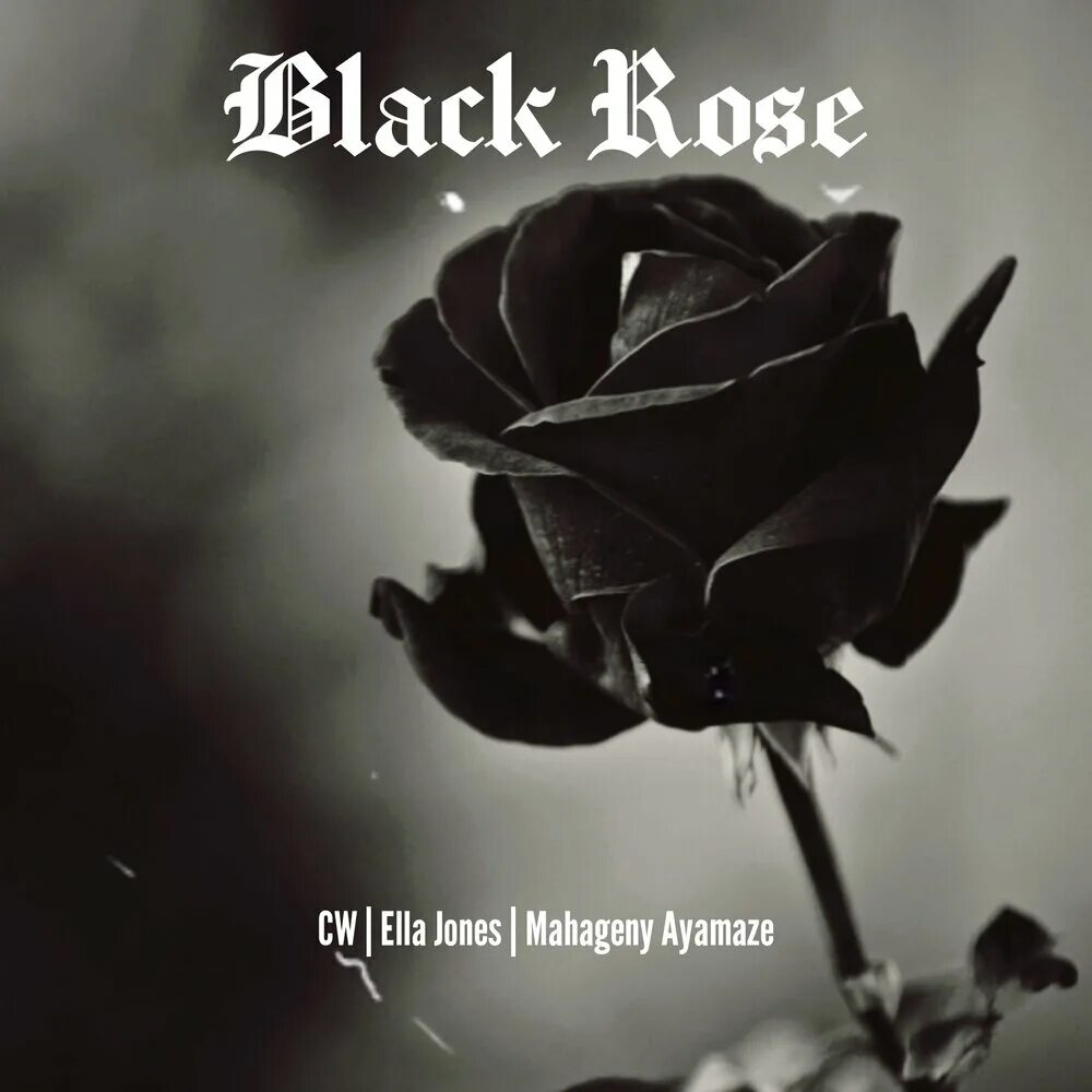 Картинки черных фото Black Rose CW, Mahageny Ayamaze, Ella Jones слушать онлайн на Яндекс Музыке