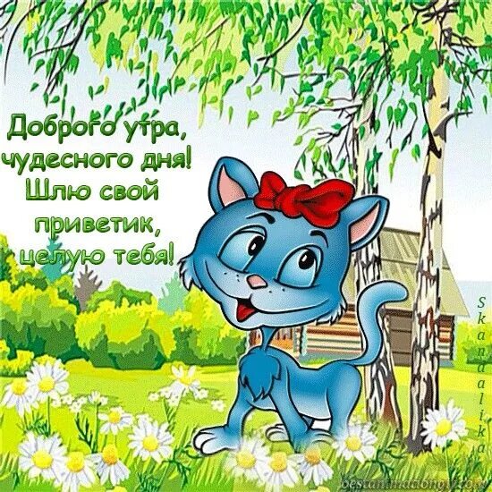 Картинки чудесного утра доброго дня прикольные Пин от пользователя Gulnara на доске ДОБРОЕ УТРО ! Привет !☕ ☕ Доброе утро, Откр