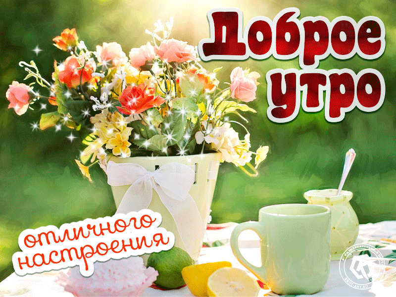 Картинки чудесного утра доброго дня прикольные Прикольная открытка с цветами доброе утро, бесплатная гиф анимация на каждый ден