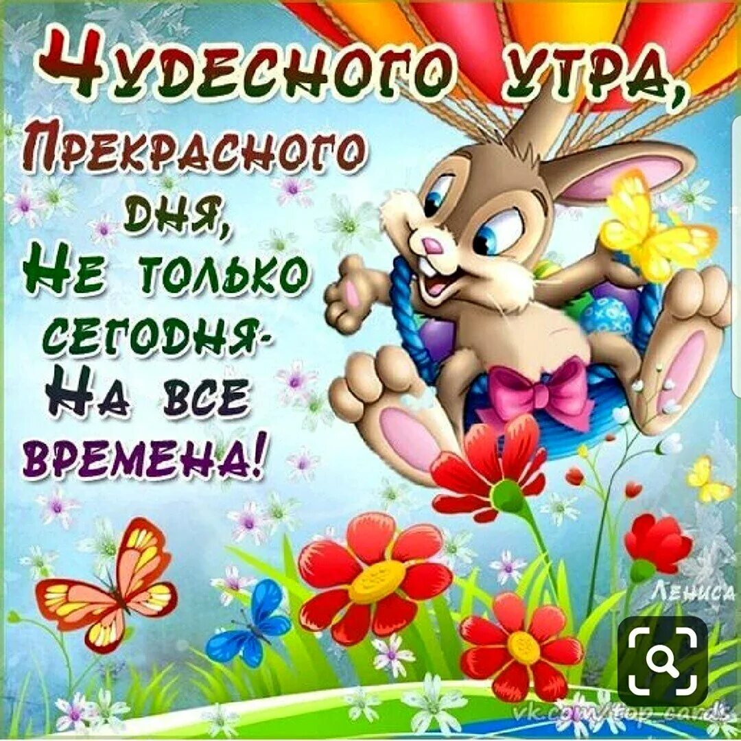 Картинки чудесного утра доброго дня прикольные Картинки ЧУДЕСНОГО ДНЯ КАРТИНКИ ПРИКОЛЬНЫЕ СМЕШНЫЕ