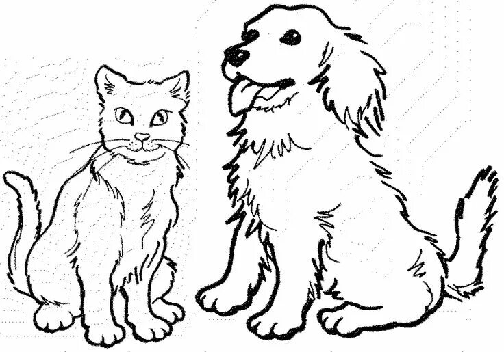 Картинки для раскрашивания домашние животные Cat and dog drawing, Cat coloring page, Dog coloring page