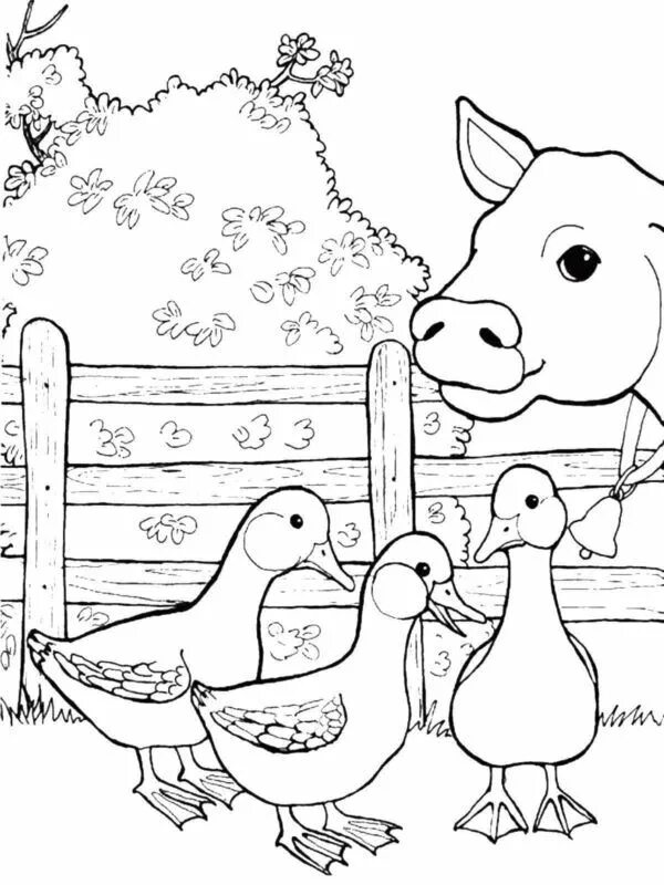 Картинки для раскрашивания домашние животные Farm Coloring Pages 100 Pictures Free Printable Farm animal coloring pages, Anim