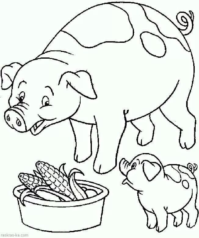 Картинки для раскрашивания домашние животные Prase a prasátko Farm animal coloring pages, Animal coloring pages, Coloring boo