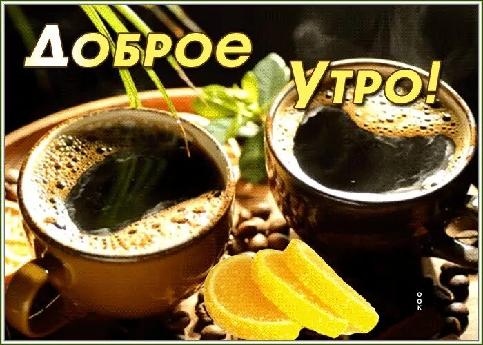 Картинки для ватсапа доброе утро хорошего ДляГурмановКартинное доброутреннее с конкурсом) - Блог "Утро с АСТВ" - astv.ru