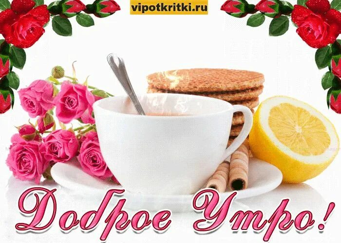 Картинки для ватсапа доброе утро хорошего с добрым утром друзья природа: 3 тыс изображений найдено в Яндекс.Картинках Добр
