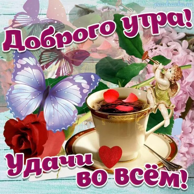 Картинки для ватсапа доброе утро хорошего доброе утро panosundaki Pin