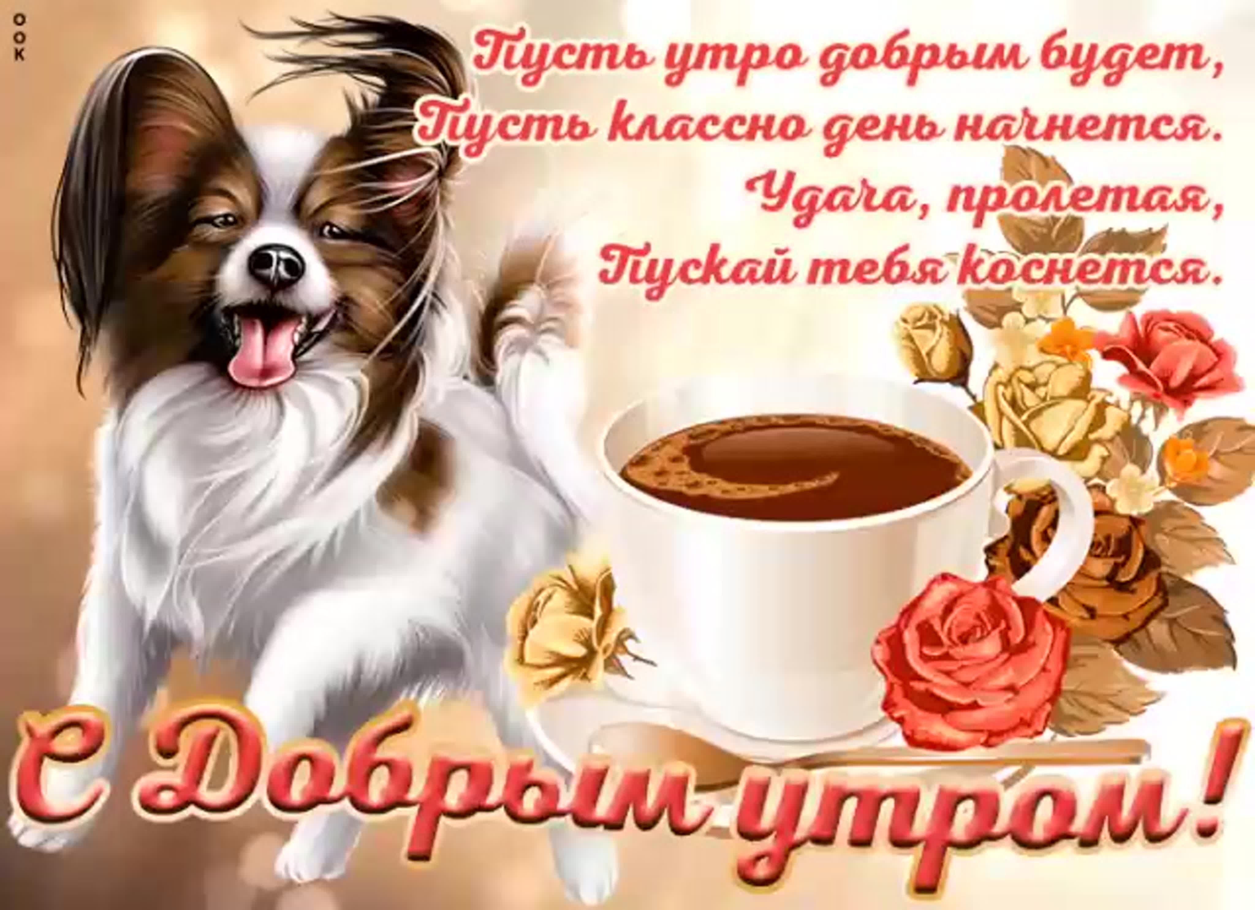 Картинки для ватсапа красивые доброе утро бесплатно Открытка с добрым утром хорошего дня женщине: найдено 81 изображений