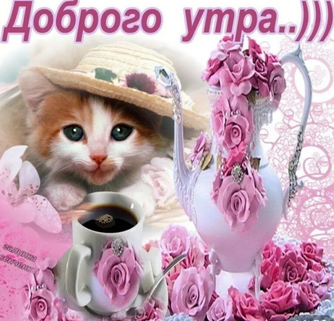 Картинки для ватсапа красивые доброе утро бесплатно Картинки на ватсап с добрым утром - 81 фото