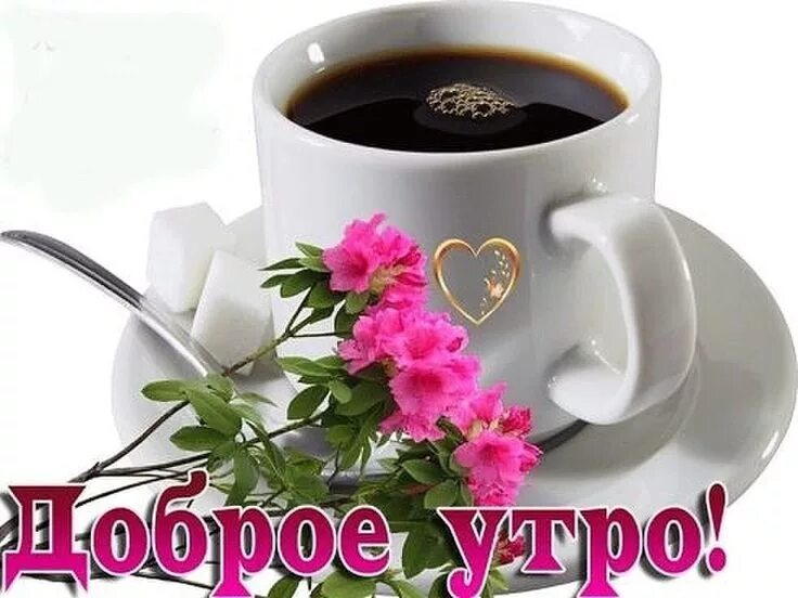 Картинки для ватсапа красивые доброе утро бесплатно Пин от пользователя Olga Malceva на доске Доброе утро Баклажаны рецепт, Доброе у