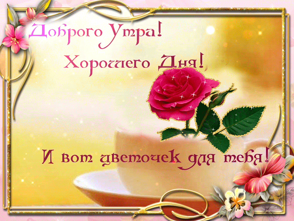 Картинки для ватсапа красивые доброе утро бесплатно Доброе утро видео для whatsapp