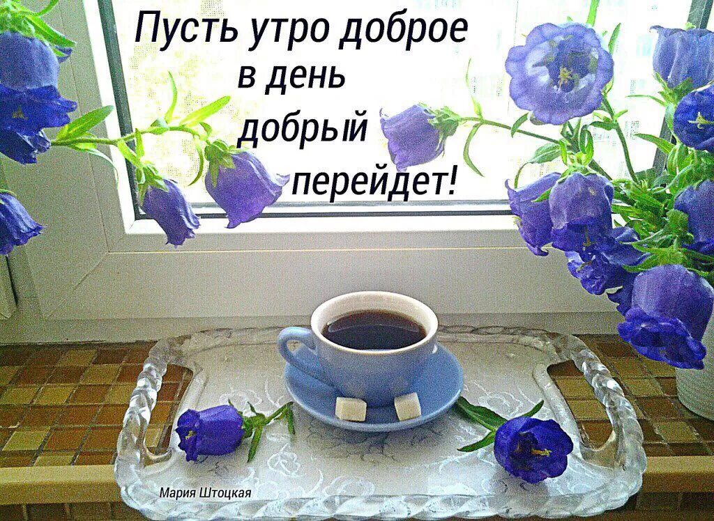 Картинки добра с утра до вечера Пусть утро дорое в день добрый перейдет!