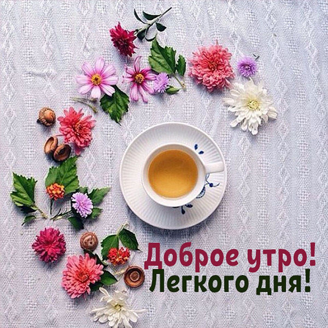 Картинки добра с утра до вечера Post #1439 - Женская Психология l Познай Себя (@psycholog_female)