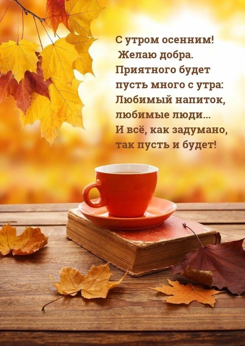 Картинки доброе осеннее утро со смыслом Pin on доброе утро Good morning, Gifts