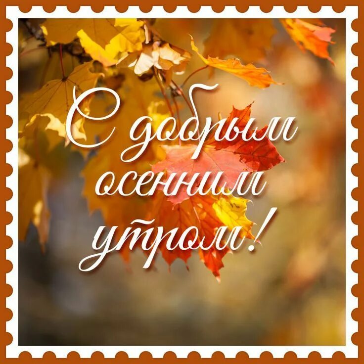 Картинки доброе осеннее утро со смыслом С добрым осенним утром! Открытки, Осень, Картинки