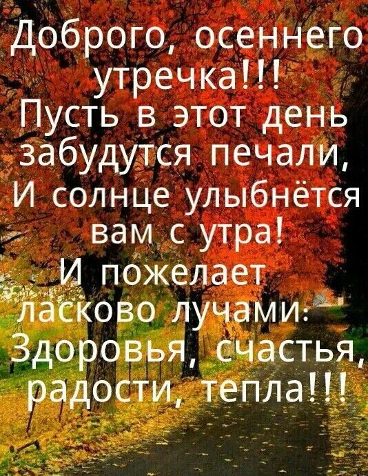 Картинки доброе осеннее утро со смыслом Pin by Леди Ди on доброе утро)) Good morning, Words, Quotes