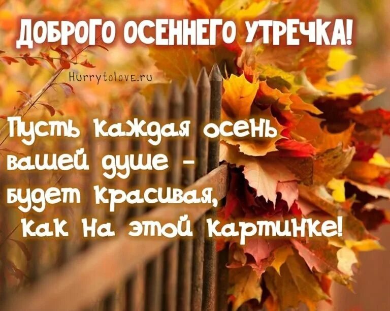 Картинки доброе осеннее утро со смыслом Доброе утро осеннее со смыслом красиво: найдено 80 изображений