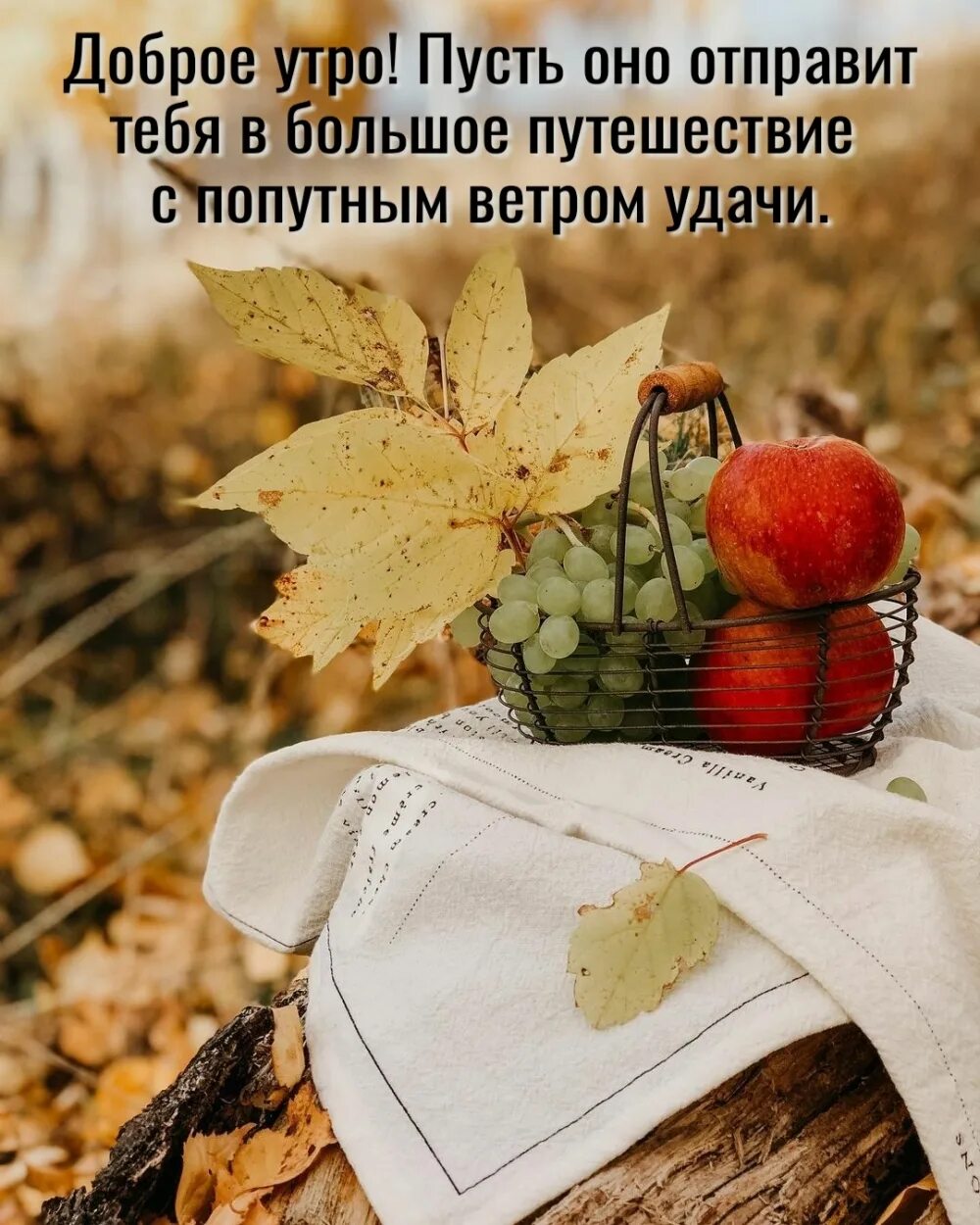 Картинки доброе осеннее утро со смыслом Картинки с надписью - Доброе утро! Пусть оно отправит тебя в большое путешествие