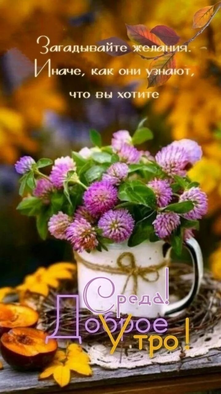 Картинки доброе осеннее утро со смыслом Post #15749 - ПОЖЕЛАНИЯ ДОБРА (@pozhelaniy)
