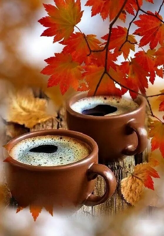 Картинки доброе осеннее утро со смыслом 99+)MeWe - The Next-Gen Social Network Good morning coffee gif, Good morning cof