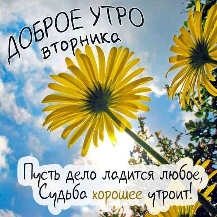 Картинки доброе утро доченька хорошего дня Красивая открытка доброе утро вторника с пожеланиями Доброе утро, Картинки, Откр