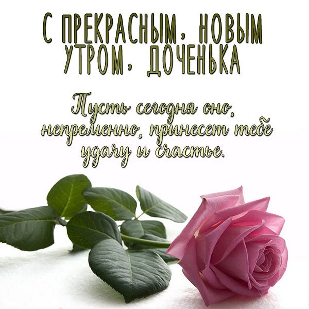 Картинки доброе утро доченька хорошего дня Картинки "С добрым утром, доченька": открытки для вацап "Муниципальный вестник А