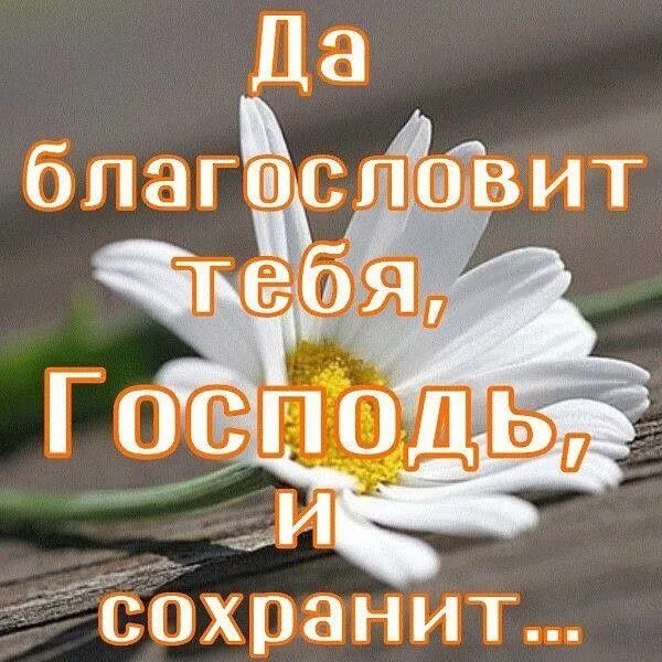 Картинки доброе утро храни вас господь красивые Одноклассники Цитаты о вдохновении, Вдохновляющие фразы, Мудрые цитаты