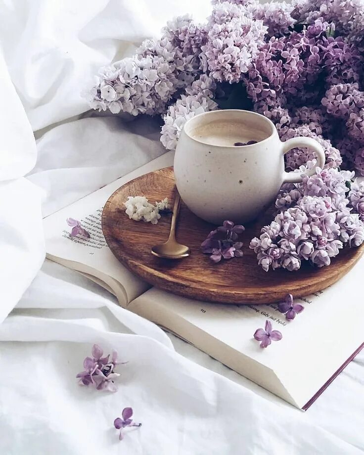 Картинки доброе утро красивые необычные оригинальные нежные Pin by Ulla T. on l i l a c - Coffee flower, Coffee flatlay, Good morning coffee